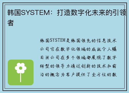 韩国SYSTEM：打造数字化未来的引领者